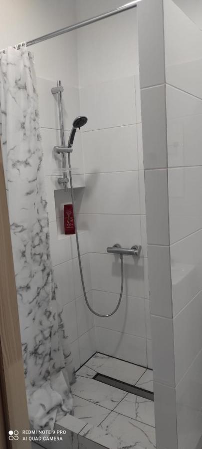 דירות Lilia House פוזנן מראה חיצוני תמונה